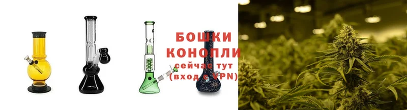 сколько стоит  Ливны  Бошки Шишки Ganja 